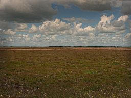 IMGP6248_Borris Soenderland